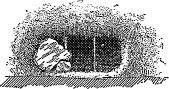 sloping window sloping window