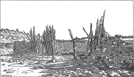 corral corral
