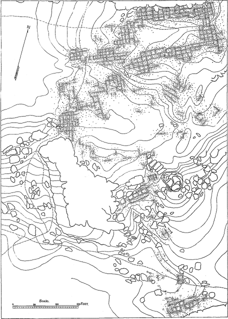 plan of Old Mashongnavi plan of Old Mashongnavi