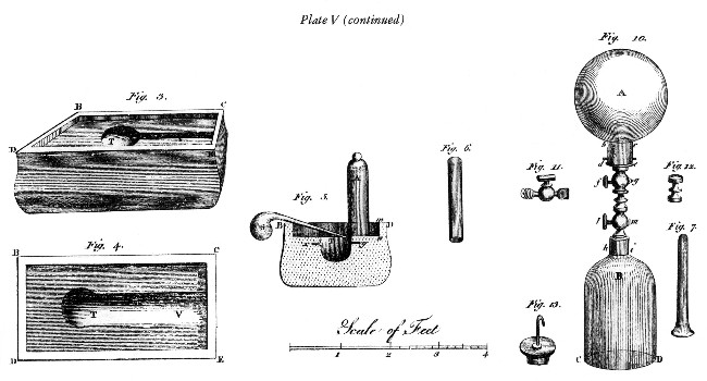 Plate V (continued)