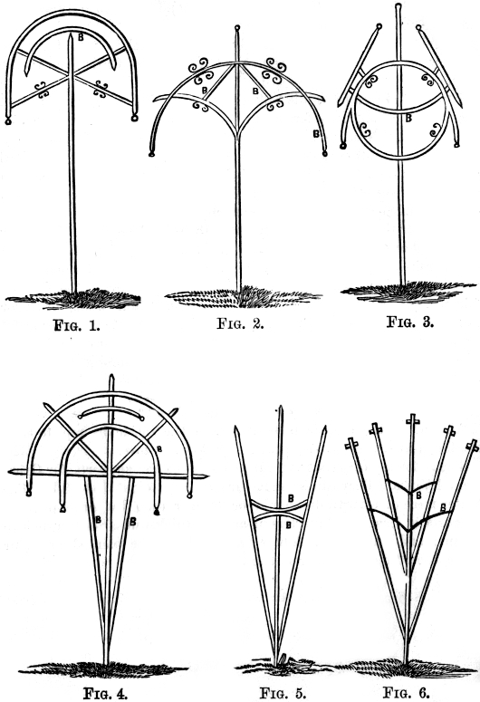 supports