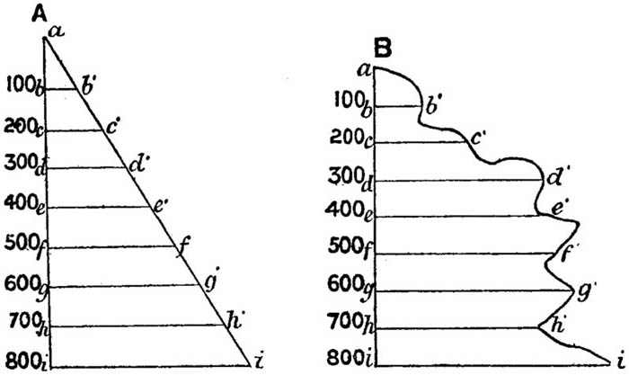 Curve of Profit in Trust.