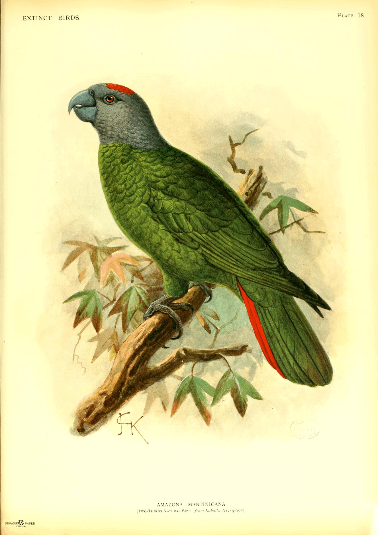 Plate 18