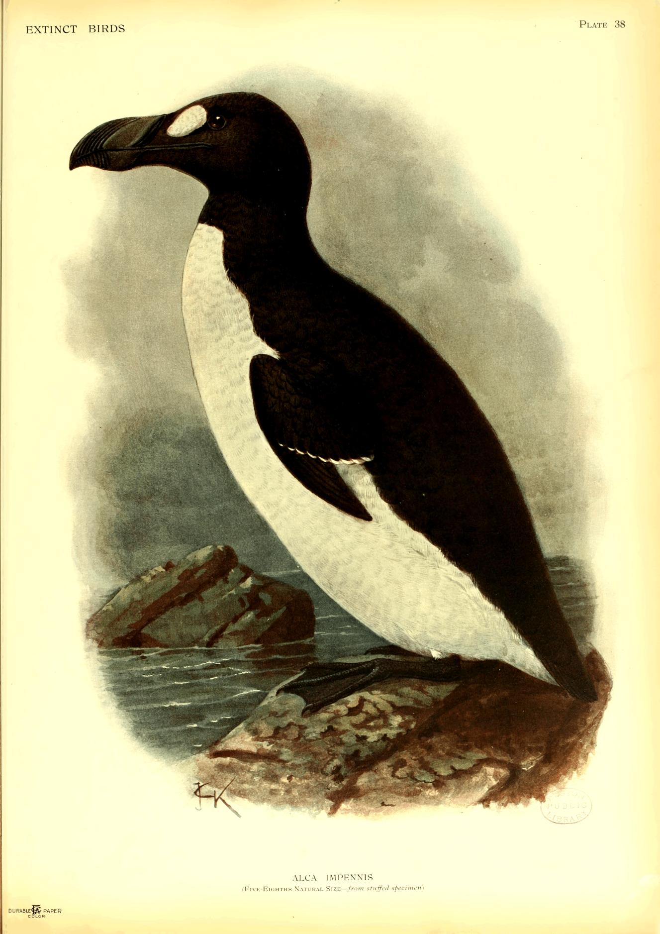 Plate 38