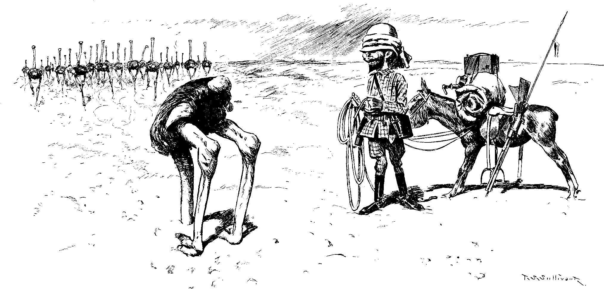 On the Not-Altogether-Credible Habits of the Ostrich