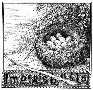 Imperishable. A nest full of eggs.