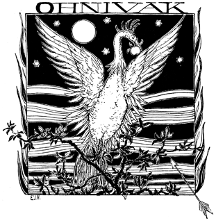Ohnivak A large bird flies in the moonlight.