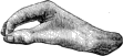 see text