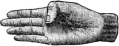 see text