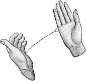 see text