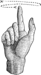 see text
