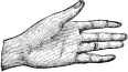 see text