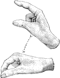 see text