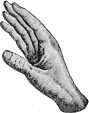 see text