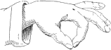 see text