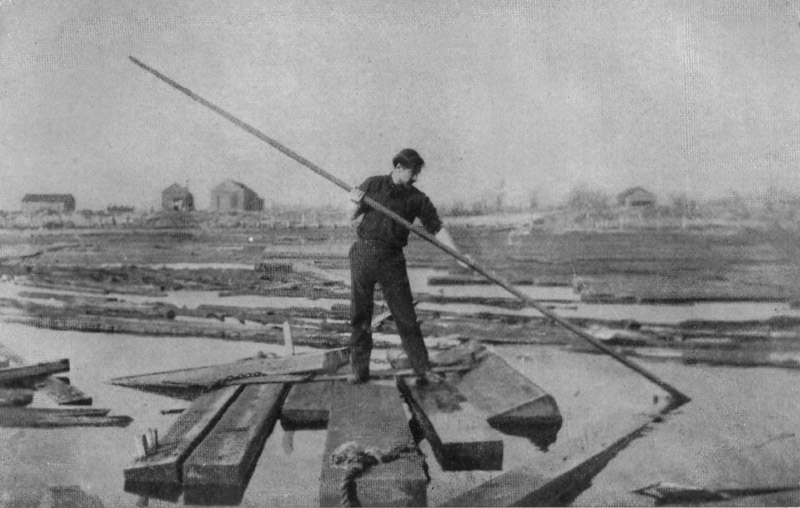 Irvine Punching Logs in the Gulf of Mexico, 1907