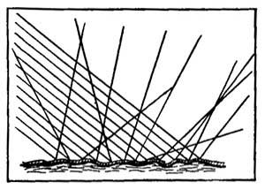 FIG. 63.—The surface of the paper, although smooth in appearance, is in reality rough, and scatters the light in every direction.