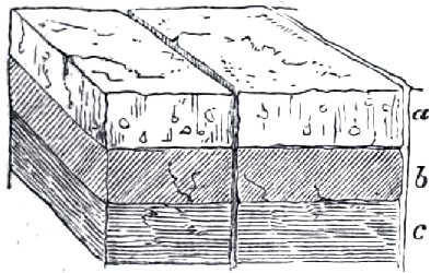 Joints in Bedding Joints in Bedding