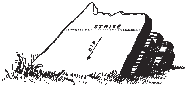 Dip and Strike of Strata Dip and Strike of Strata
