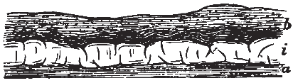 Contemporaneous Igneous Rock Contemporaneous Igneous Rock