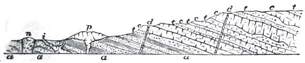 Contemporaneous and Intrusive Igneous Rocks Contemporaneous and Intrusive Igneous Rocks