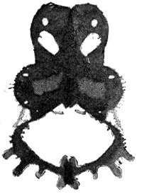 Gobolink