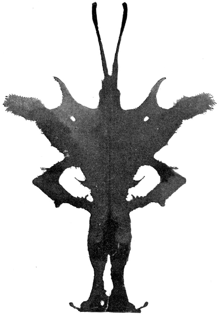 The Butterfly Man