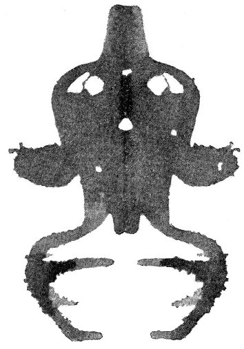 The Tail Of Taddy Pole