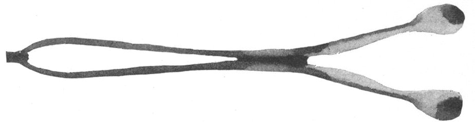 Fannie's Curling-Tongs