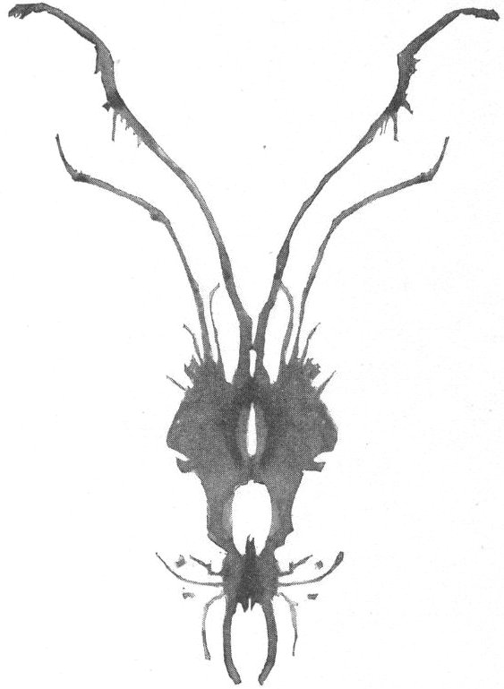 The Divers