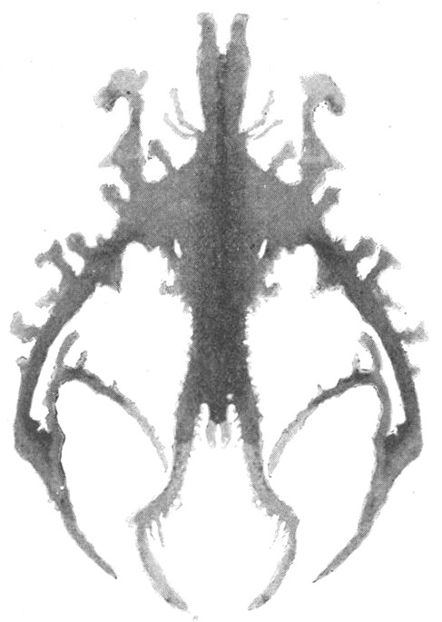 Shadow-Crests