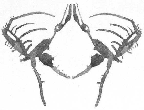 Cathodes
