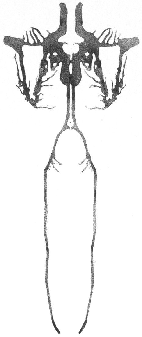 Cathodes