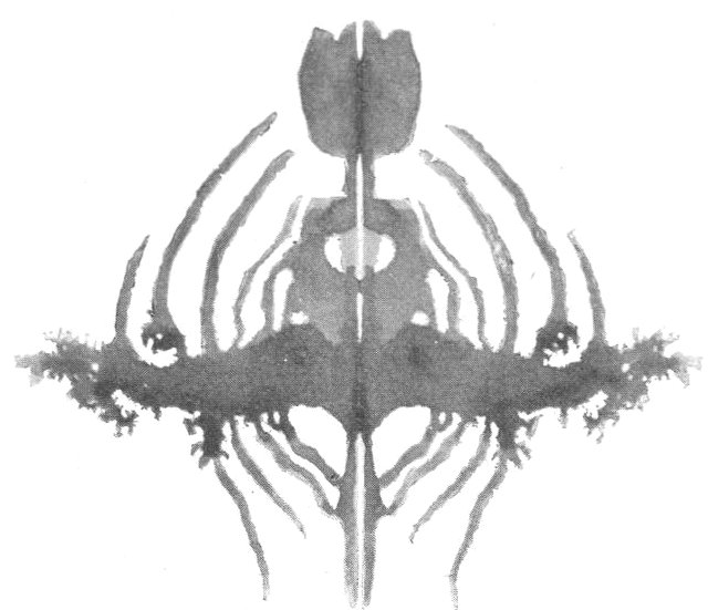 Sea-Tulip