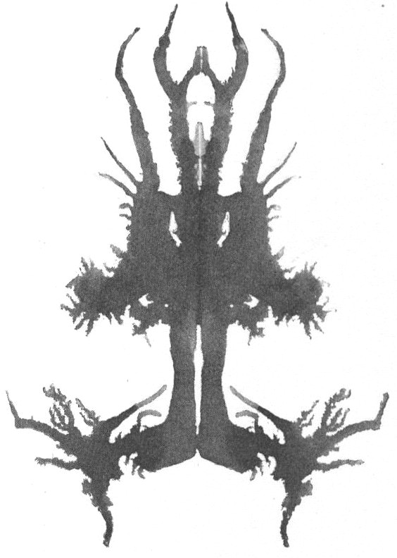 Lynx Head