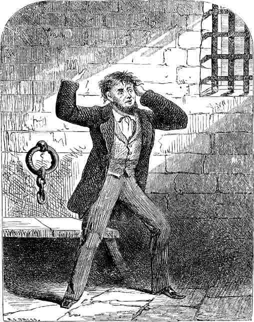 CRAZED BY DRINK. 'God's rational offspring ... become a brute.'