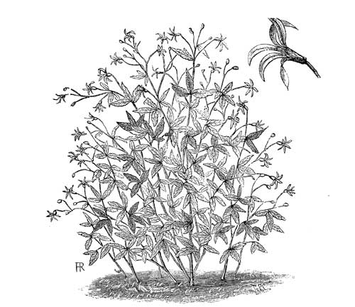 Fig. 45.
