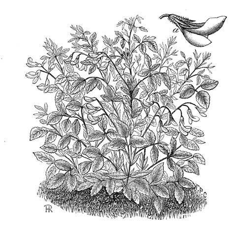 Fig. 67.