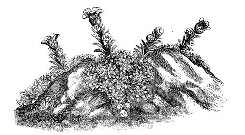 Fig. 85.