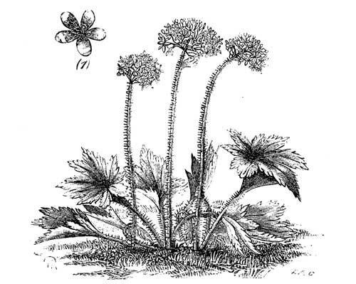 Fig. 90.
