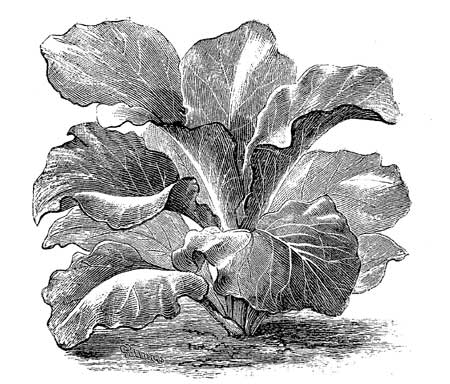 Fig. 91.