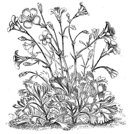 Fig. 93.