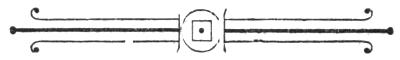 Decorative footer image