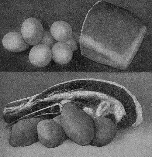 Groups of foods