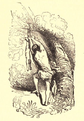 Œdipus suspended