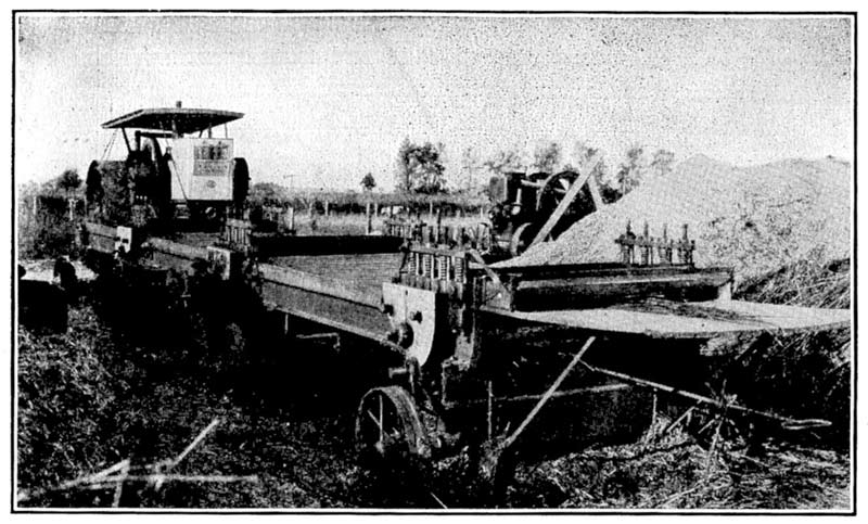 Machine brake and hemp hurds. Hemp hurds from machine brakes quickly accumulate in large piles. Machine brake and hemp hurds. Hemp hurds from machine brakes quickly accumulate in large piles.