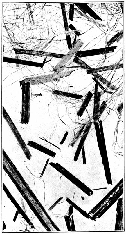 A representative sample of hemp hurds, natural size, showing hemp fiber and pieces of wood tissue. A representative sample of hemp hurds, natural size, showing hemp fiber and pieces of wood tissue.