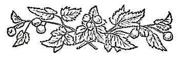 image008