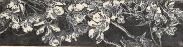 0013 