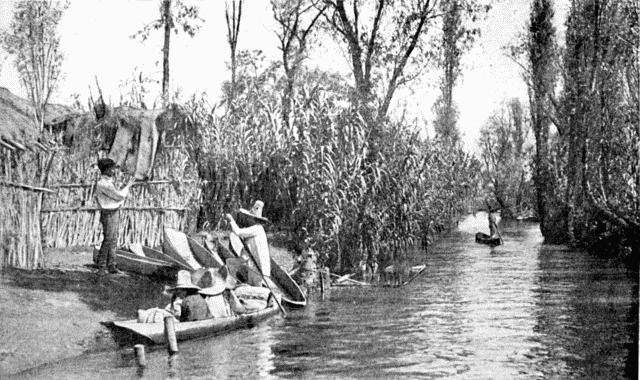 FLOATING GARDENS ON THE CHENAMPAS. Illustration: FLOATING GARDENS ON THE CHENAMPAS.